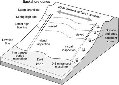 Toward Balancing the Budget: Surface Macro-Plastics Dominate the Mass of Particulate Pollution Stranded on Beaches